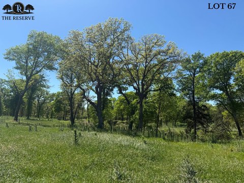 Wooded Hilltop Home Site