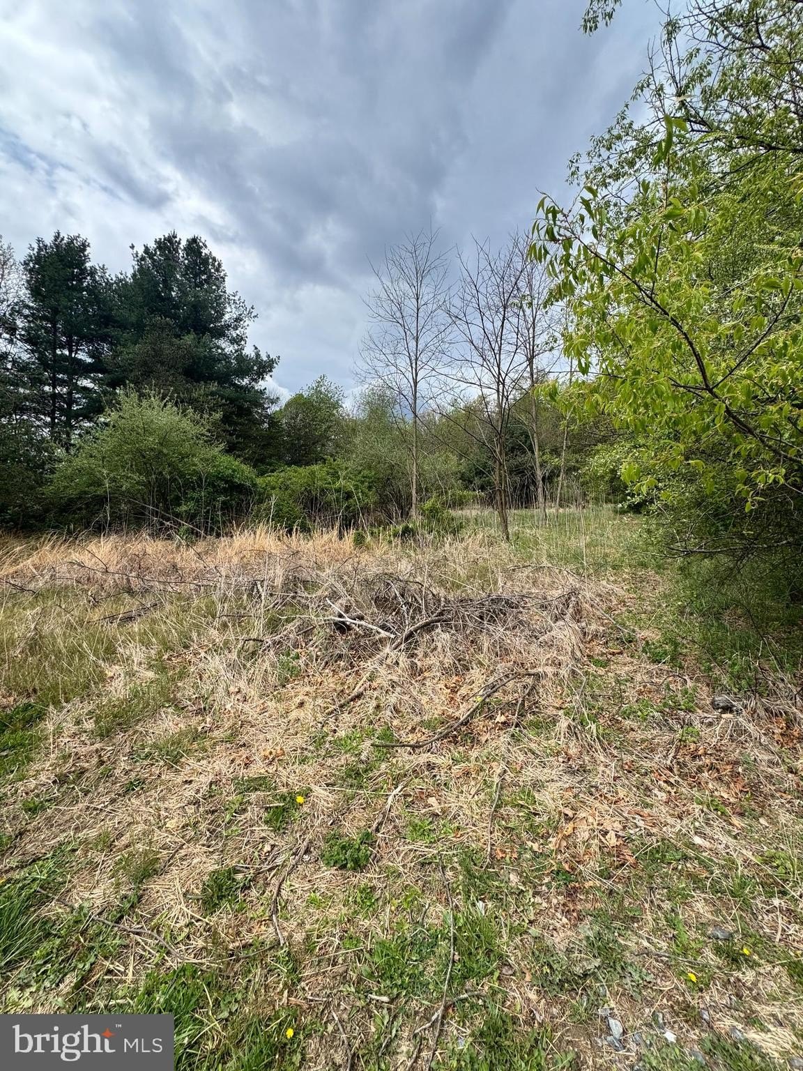 Land For Sale Mathias, WV