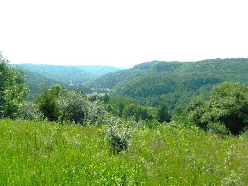 Picture 8