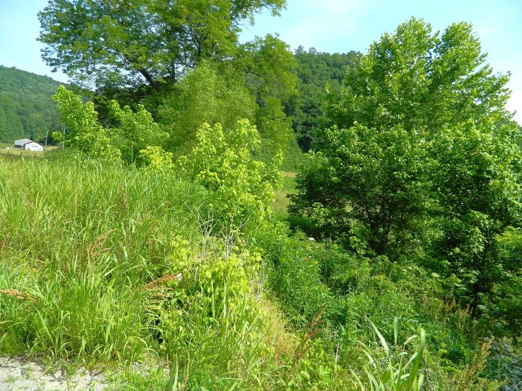 Picture 28
