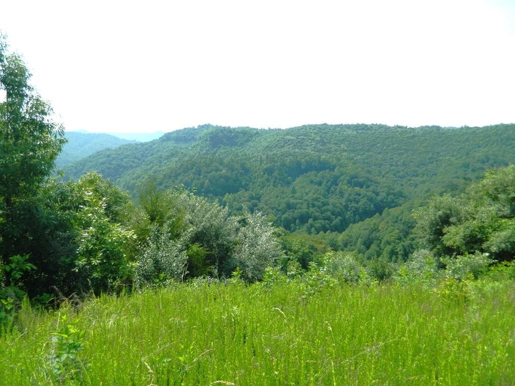 Picture 3