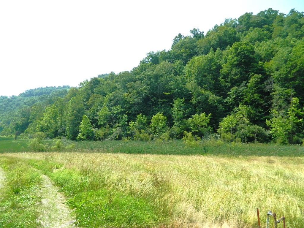 Picture 15
