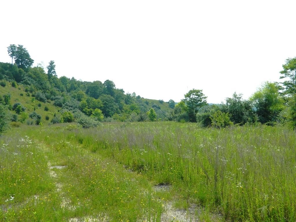 Picture 12