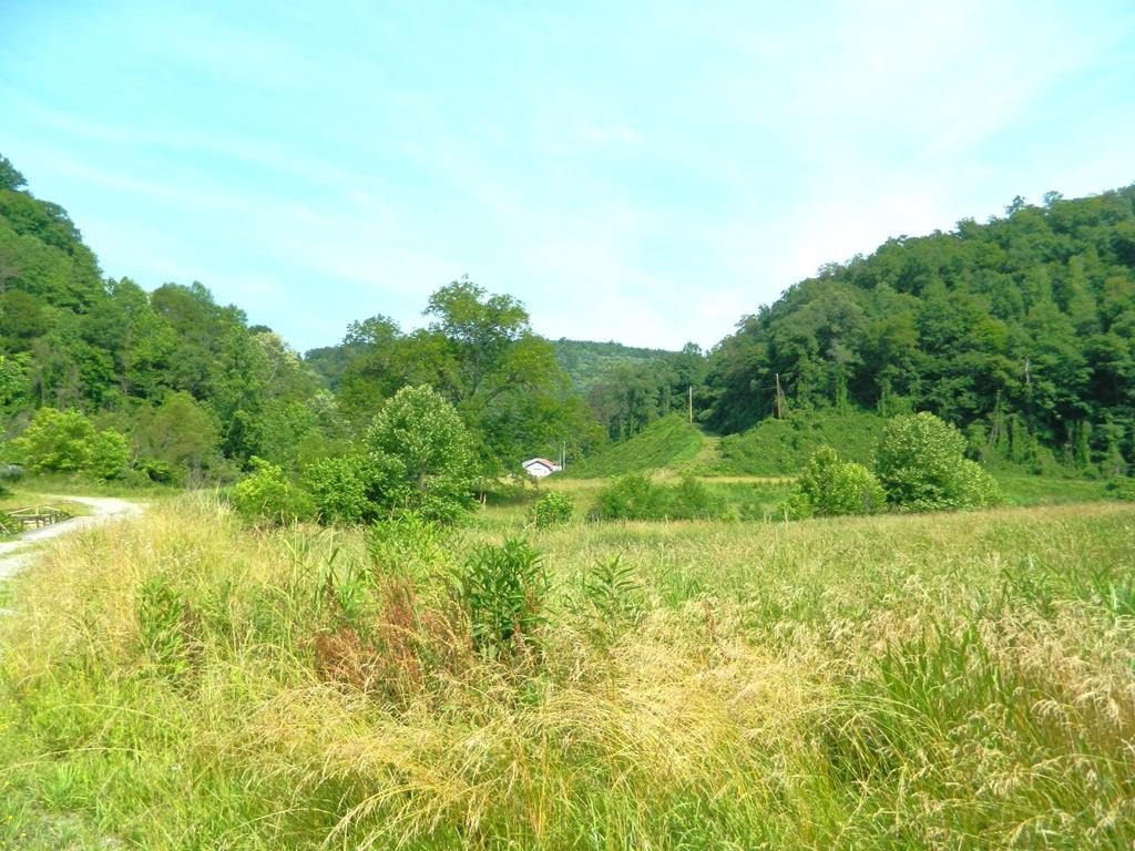 Picture 21