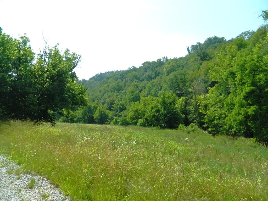 Picture 18