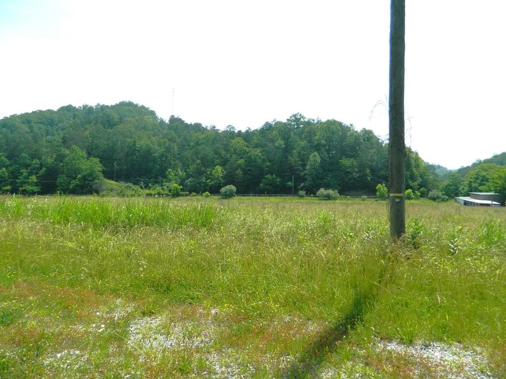 Picture 13