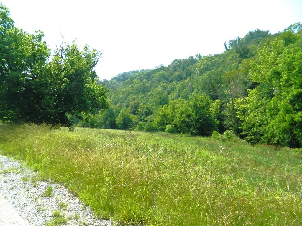 Picture 16