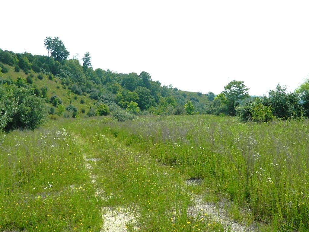 Picture 9