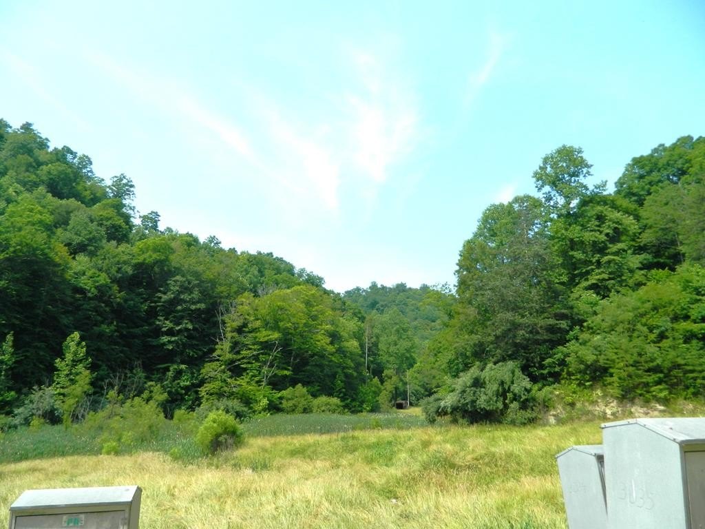 Picture 14