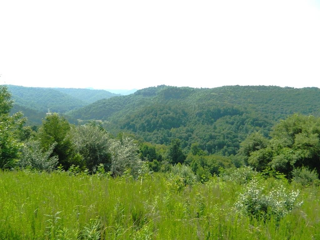 Picture 5