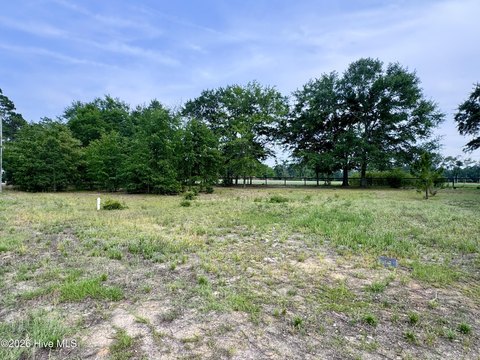 LAND - Laurinburg, NC