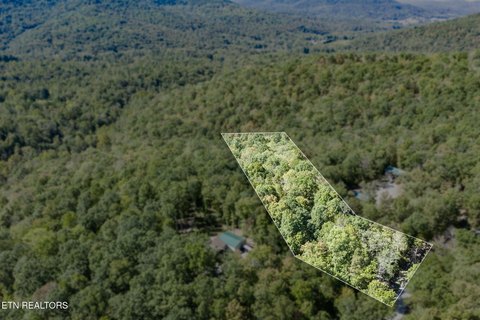 Lots & Acreage, Jamestown, TN