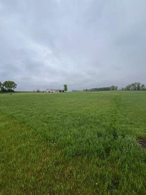 Picture 3