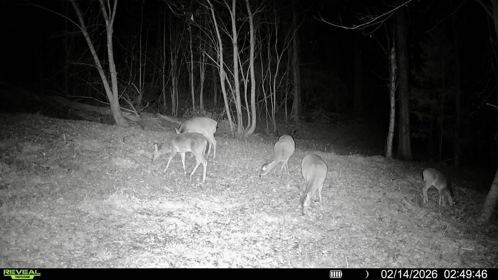 Picture 4