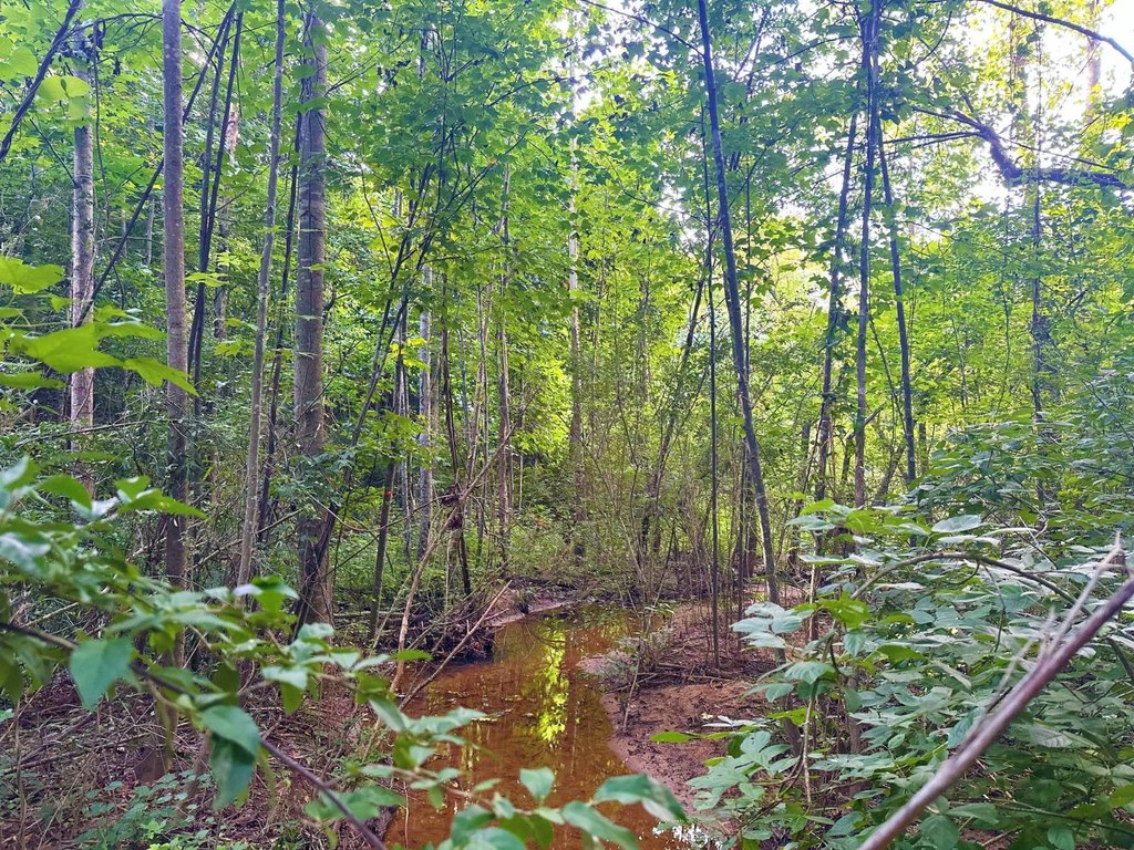 Picture 13