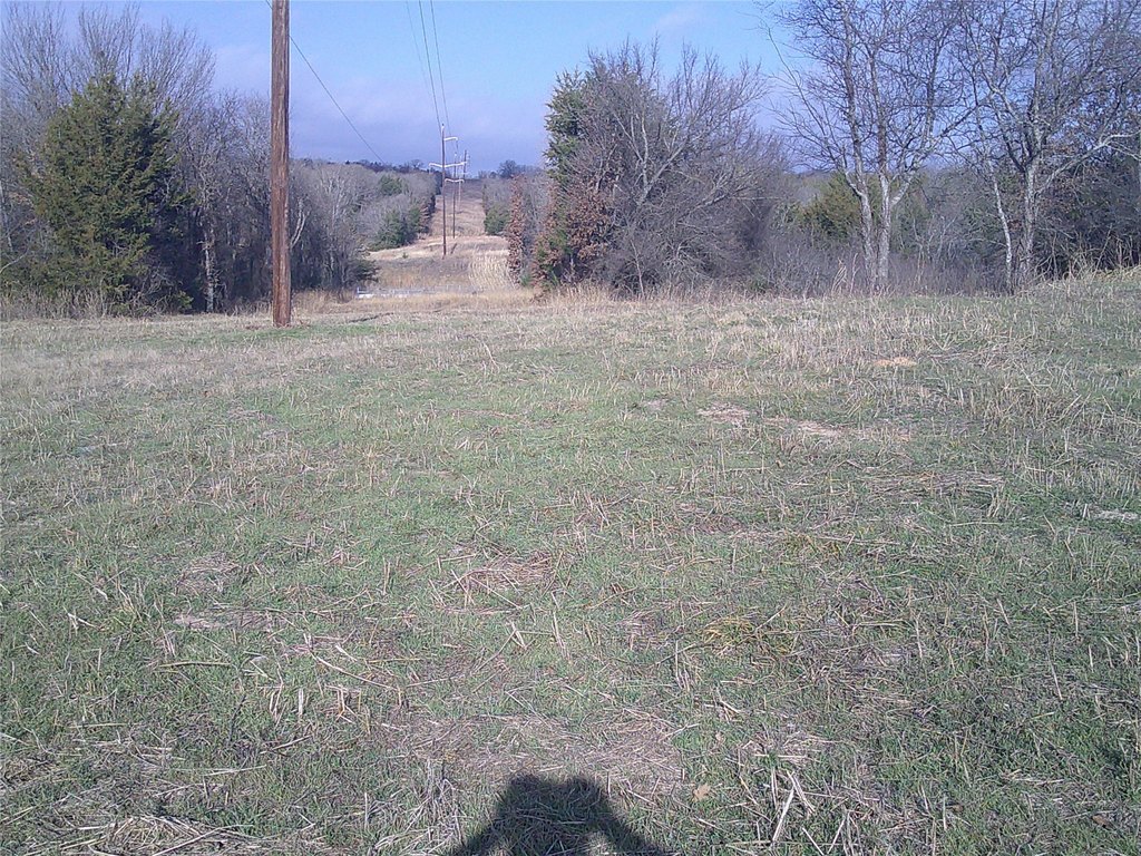 Picture 3