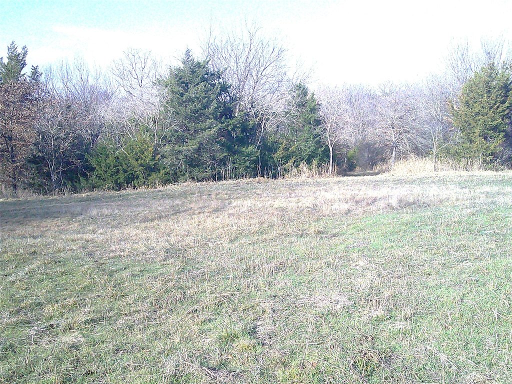 Picture 4