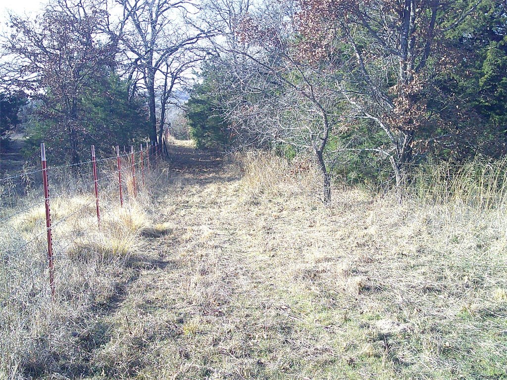 Picture 2