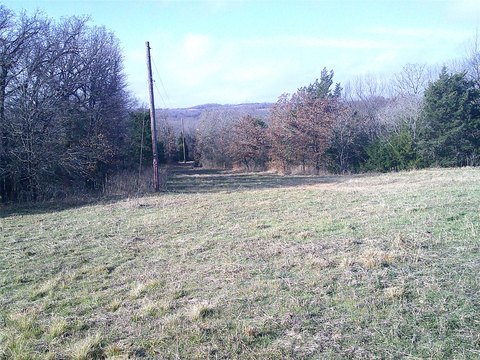 Tract Land with Mature Trees