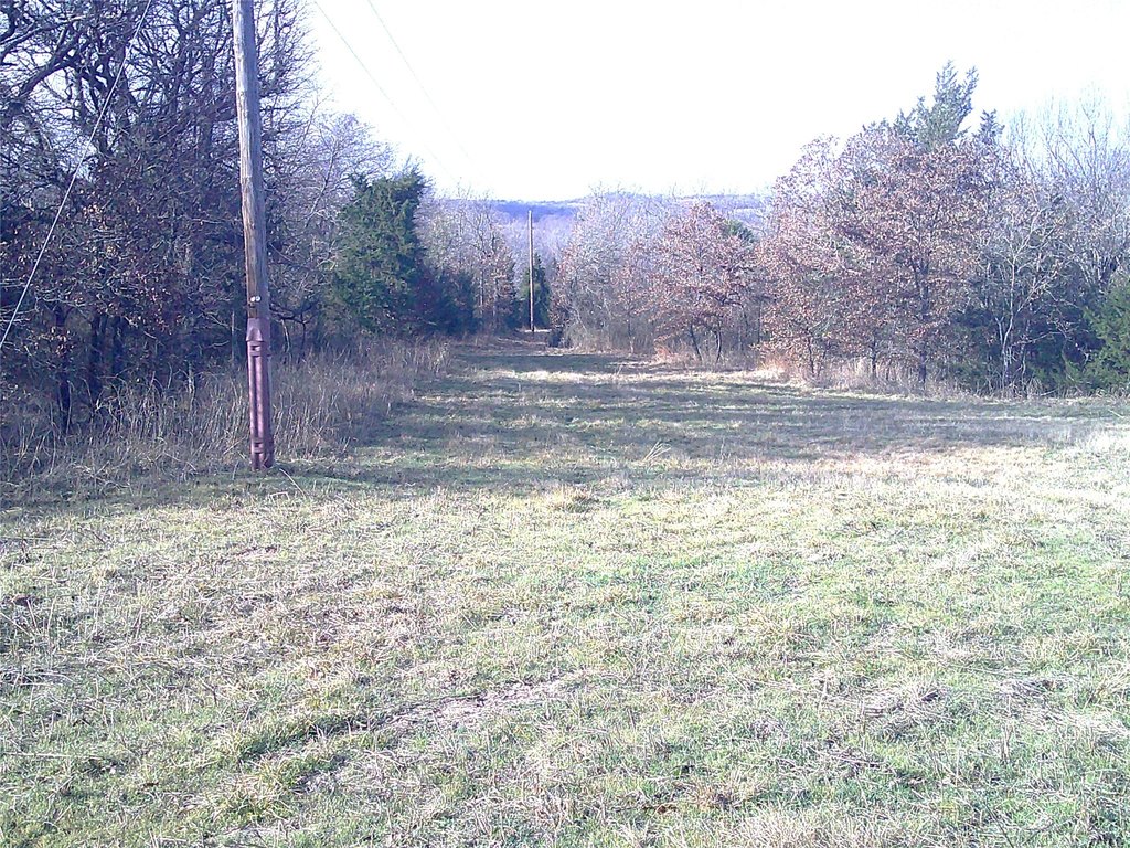 Picture 5