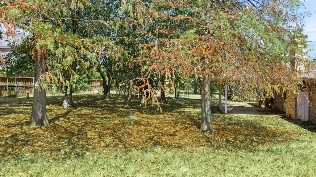 Picture 4