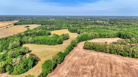 487 Acres in Wildersville, TN