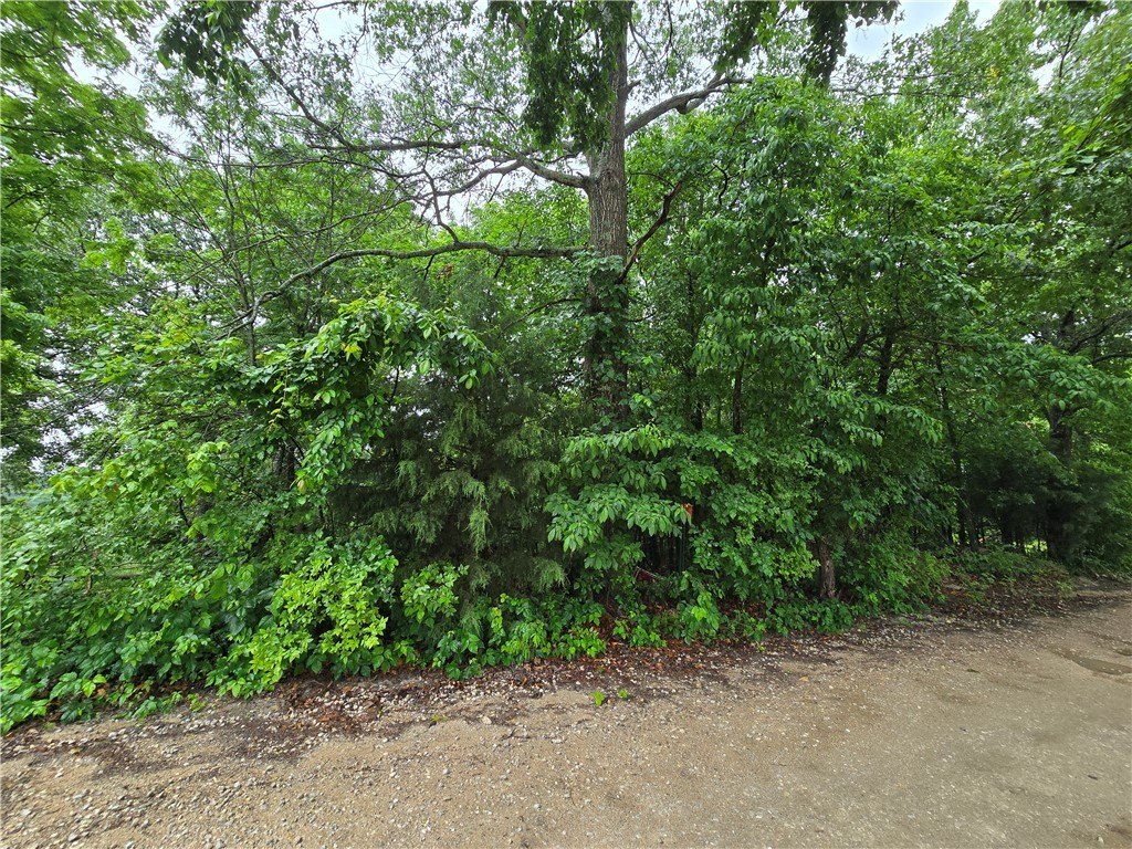 Picture 33