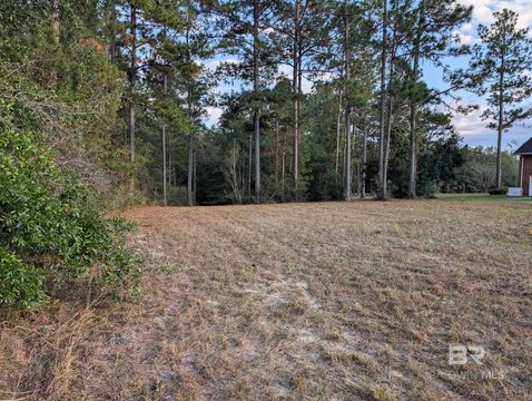 Land in Juniper Creek Golf