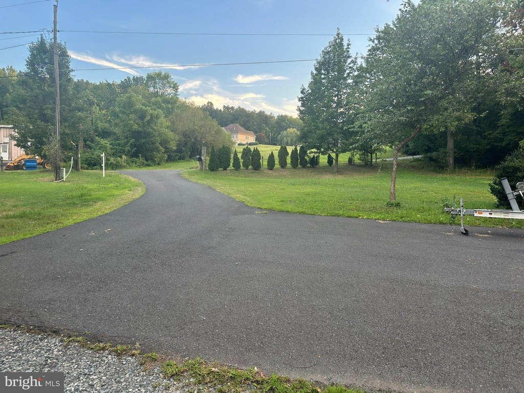 Picture 46