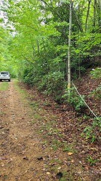 Land, Beech Mountain, NC