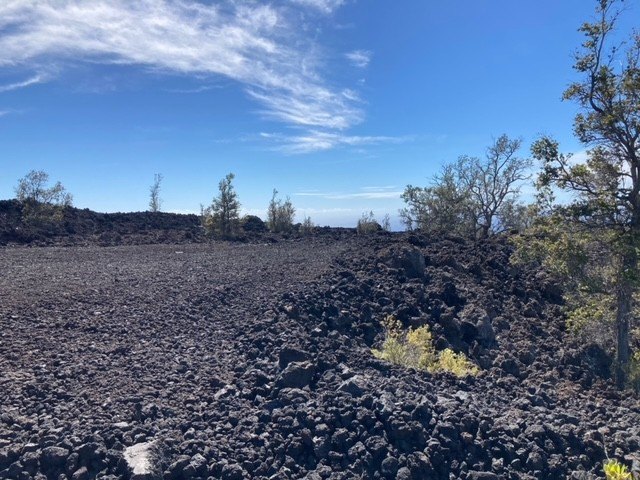 Three Acre Ocean View Parcel