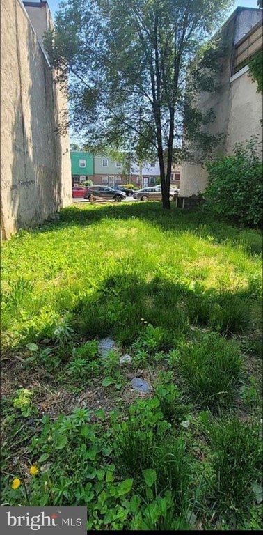 Picture 2