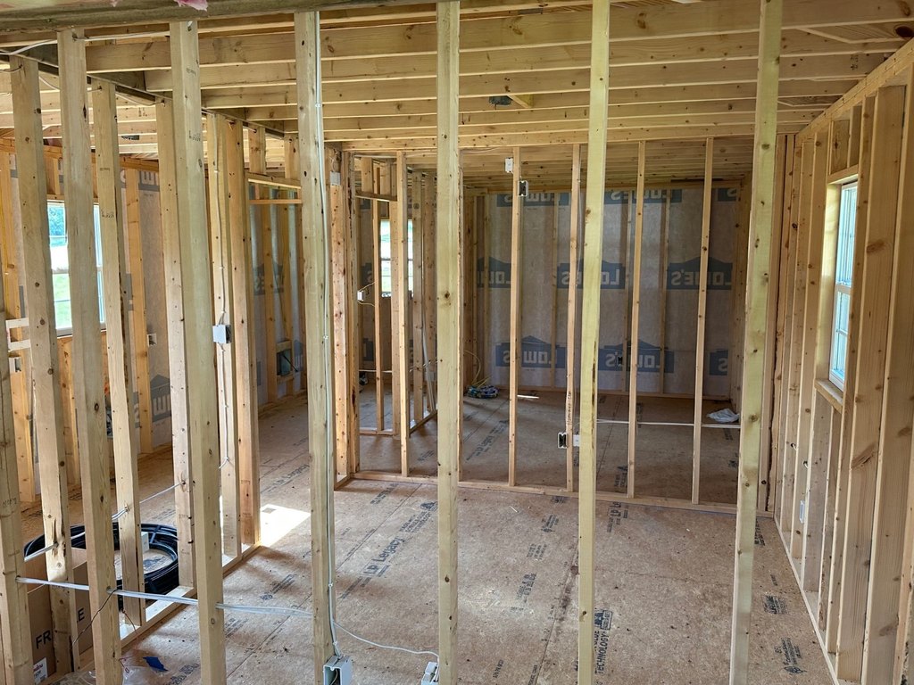 Picture 4
