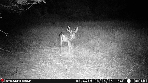 Contiguous Hunting Land