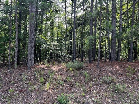 Land in Wetumpka, Alabama