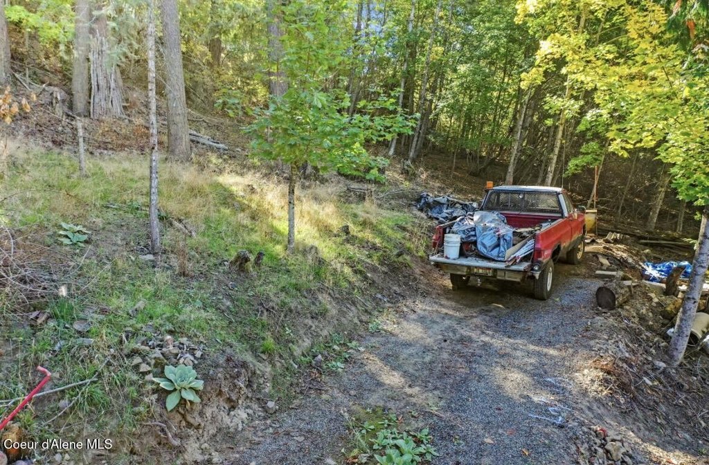 Picture 3