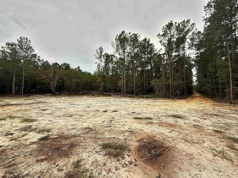 LAND, Loris, SC