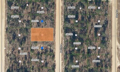 Interlachen Land with Building Potential