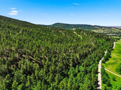 Whitewood Acreage Bordering US Forest