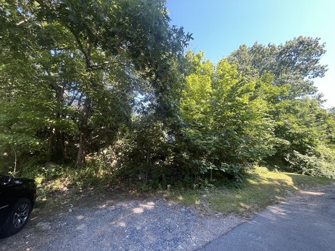 Developable Land Near Canton Center