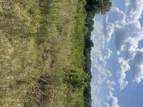 Hunting Land with Creek
