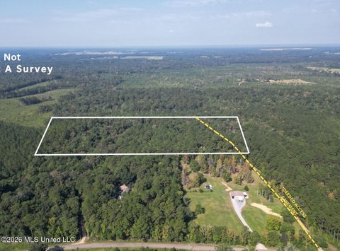 Poplarville Land with Creek