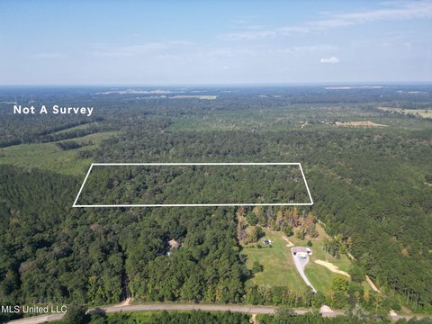 Poplarville Land with Creek