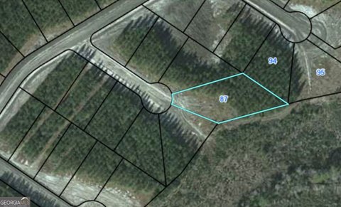 Land, Waynesville, GA