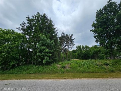 Vacant Land, Green Oak Twp, MI