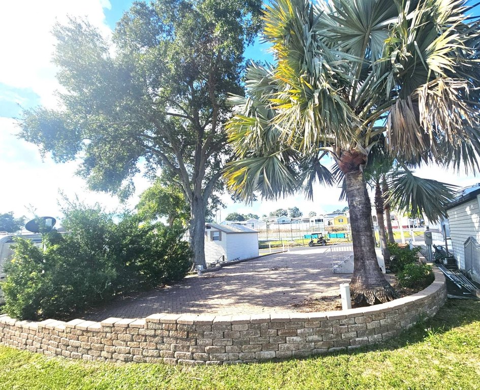 Picture 6