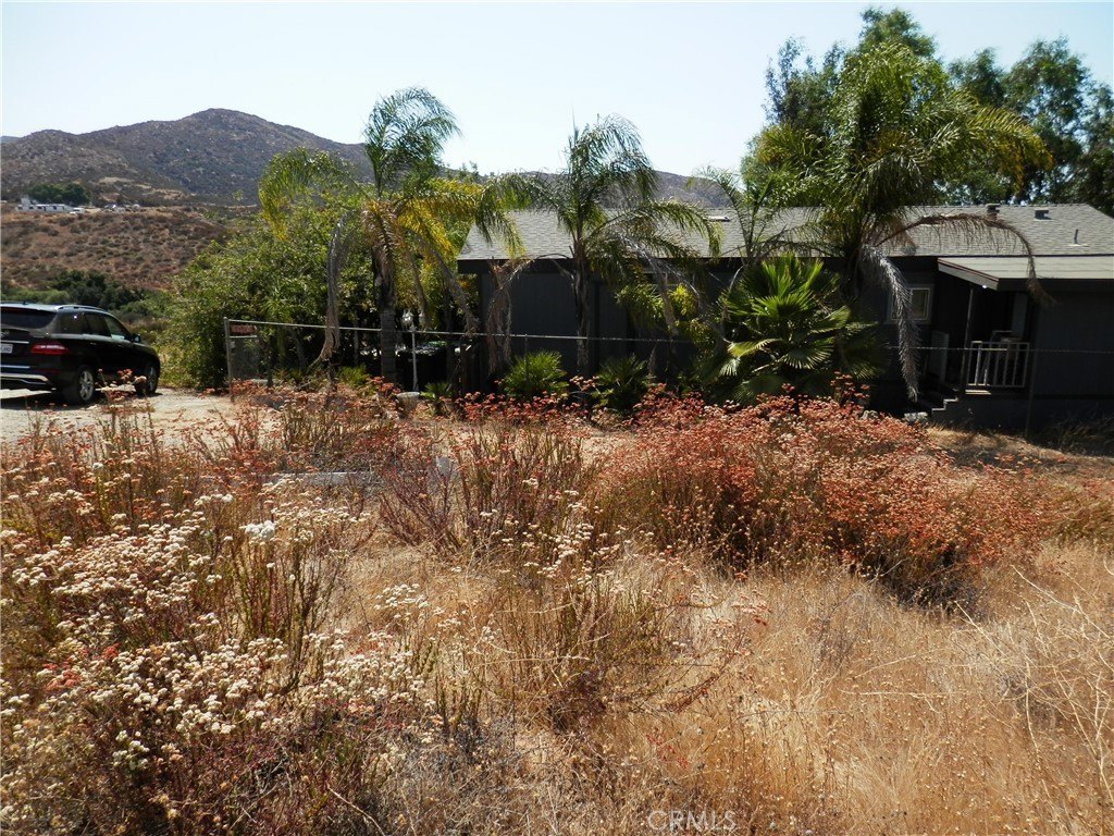 Picture 6