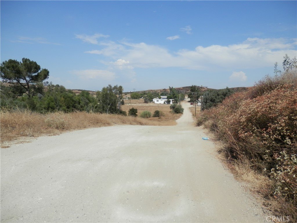 Picture 8