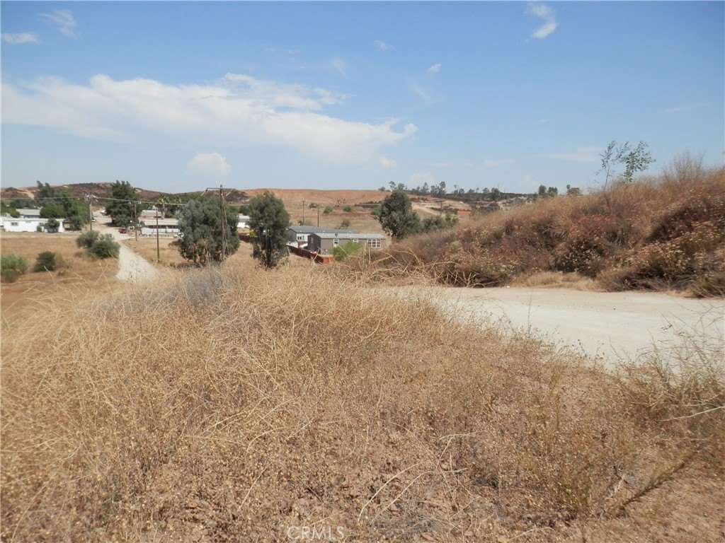 Picture 3