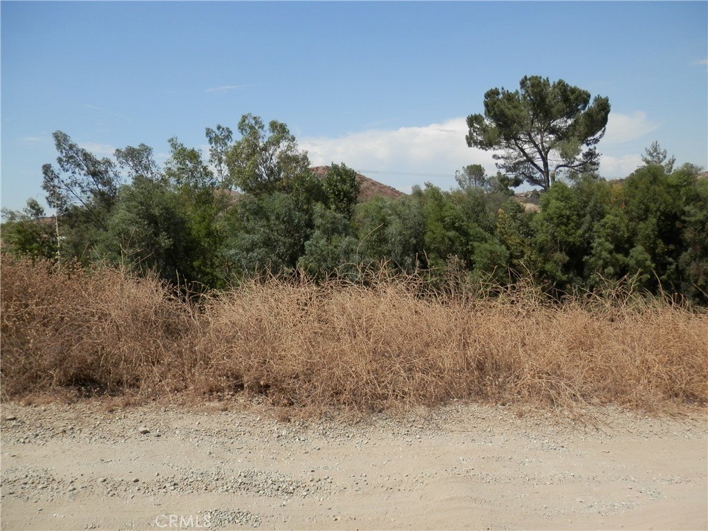 Picture 7
